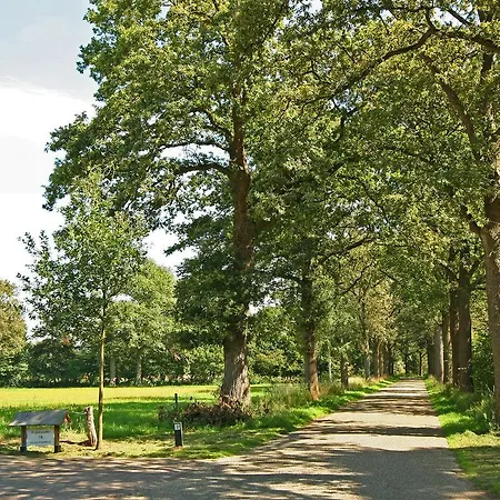 Beautifully Designed Farmhouse Near Forest In